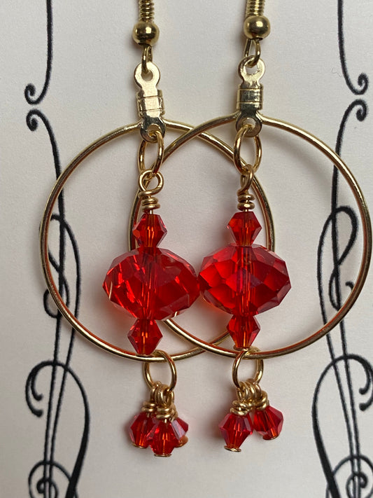 Medium Crystal Hoop earrings